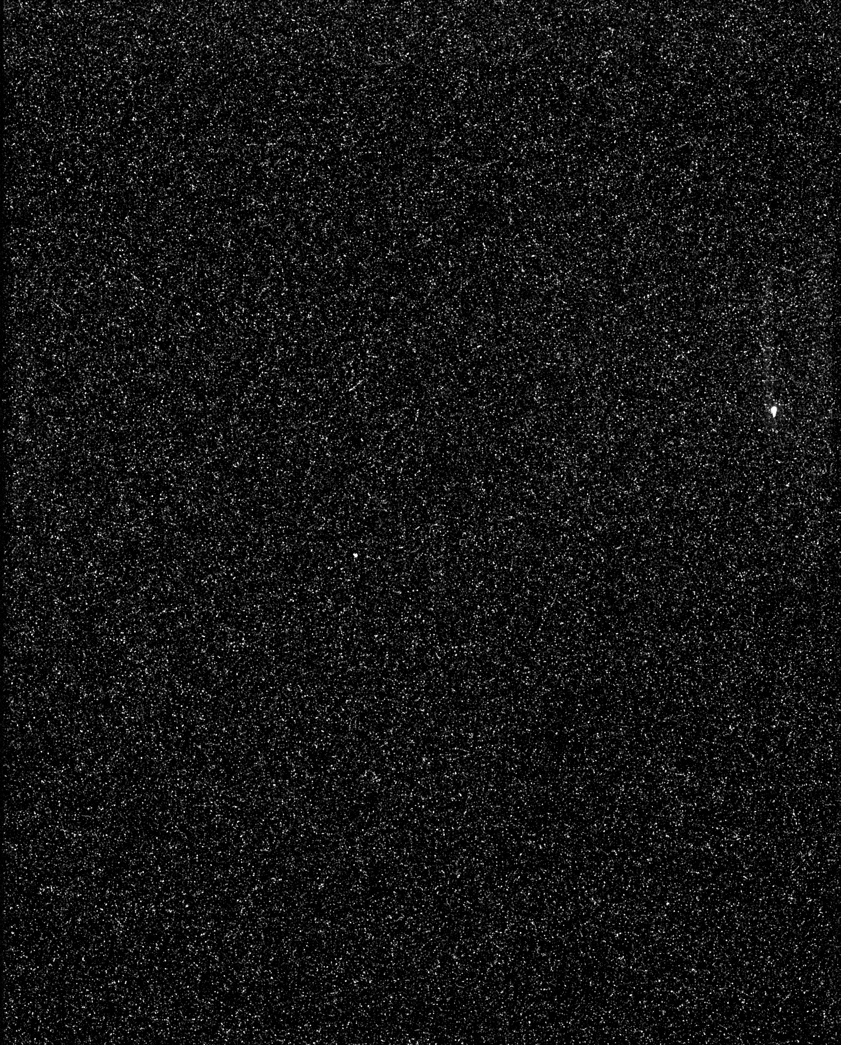 JNCE_2025061_70G00021_V01-raw_cleaned16x_3x3smooth.png